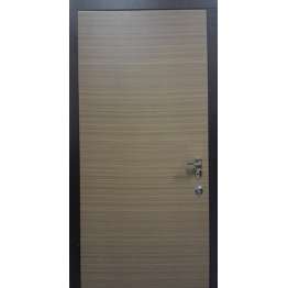 БРОНЕДВЕРІ Вхідні двері Гладь